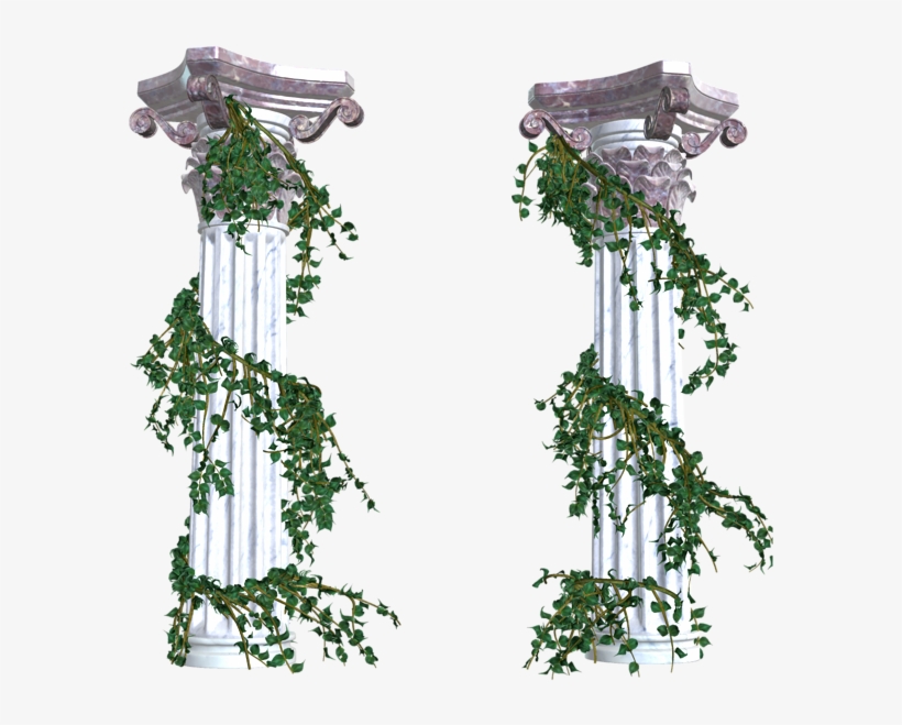 Vines Clipart Png Transparent Images - Vines Transparent Png, transparent png
