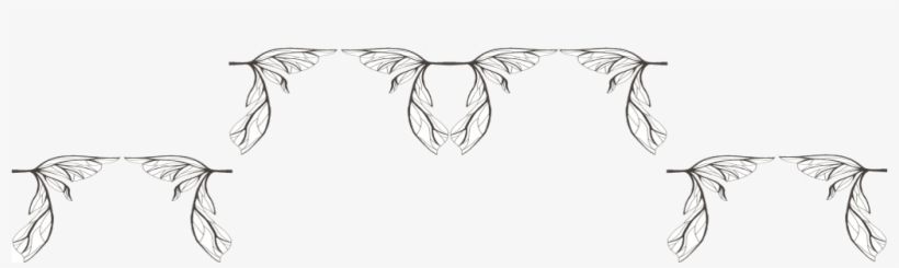 Frost Wing - Nymph, transparent png