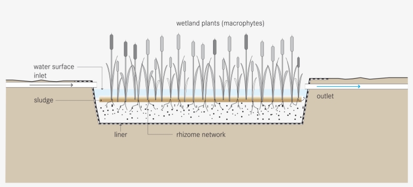 Open - Surface Flow Constructed Wetlands, transparent png