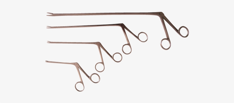 Aligator Forceps 5 1/2" - Hartmann Alligator Forceps, transparent png