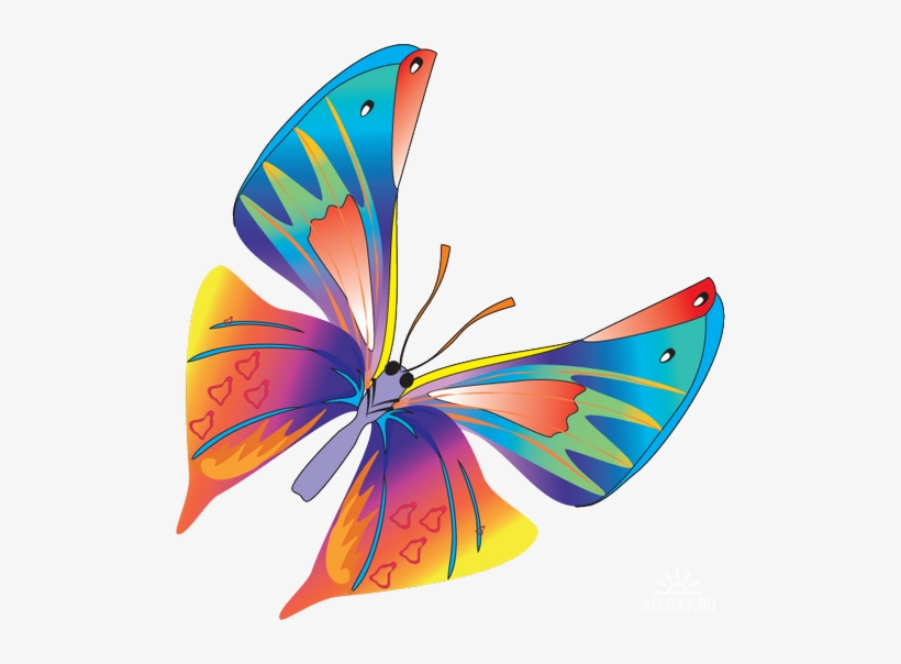 Butterfly Vector - Butterfly Vector Png, transparent png