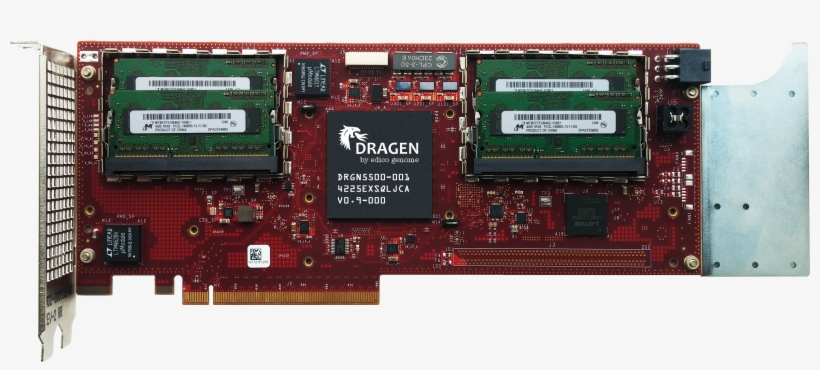 Dragen Board With Chip And Memory - Photograph, transparent png