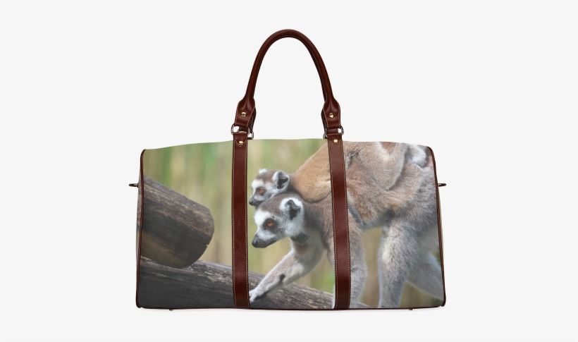 Ring-tailed Lemur Catta Katta Mother And Baby Waterproof - Small Bags For Girls For Travel, transparent png