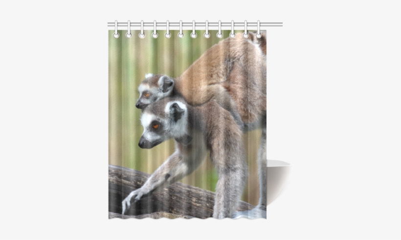 Ring-tailed Lemur Catta Katta Mother And Baby Shower - 60"(width) X 72"(height) Stylish Fruit Watermelon Decorative, transparent png