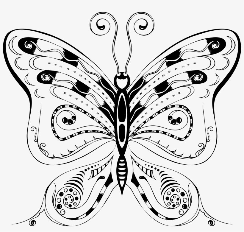 Clifford Yang Free, Resolution > Pix - Butterfly New Design Vector, transparent png