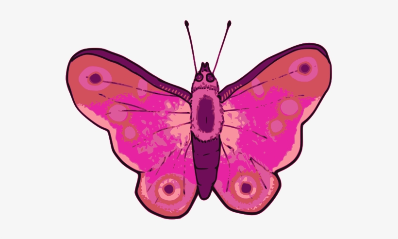 Butterfly - Clip Art, transparent png