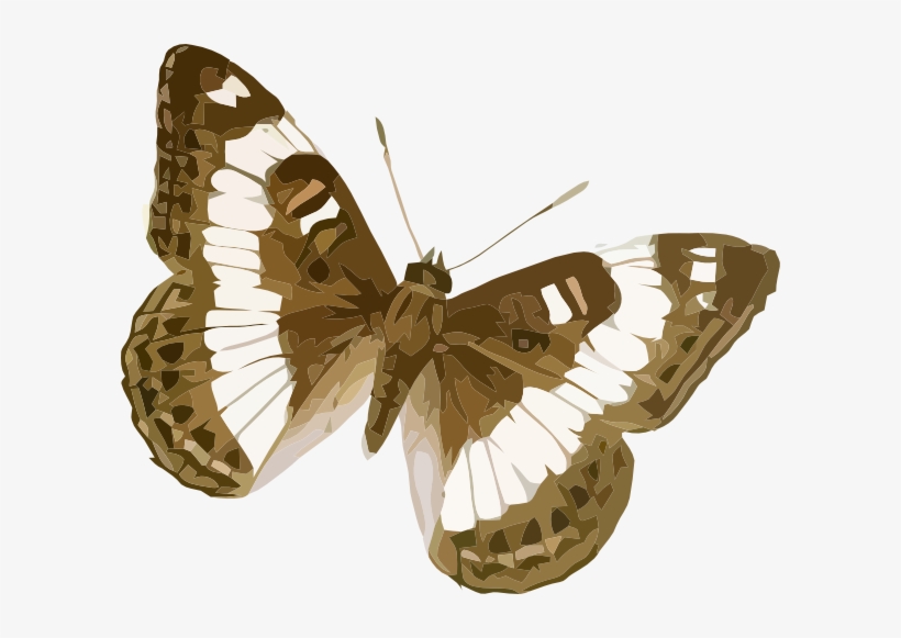 Clip Art At Clker Com Vector Online - Cartoon Butterfly Brown Png, transparent png