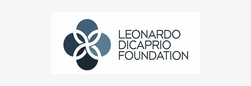 Post Navigation - Leonardo Dicaprio Foundation, transparent png