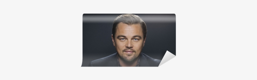 Delaplaine Leonardo Dicaprio- His Essential Quotations, transparent png