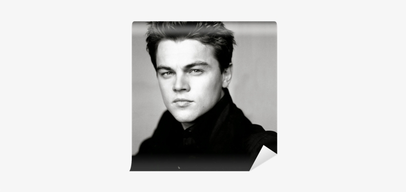 Leonardo Dicaprio Erica Linder, transparent png