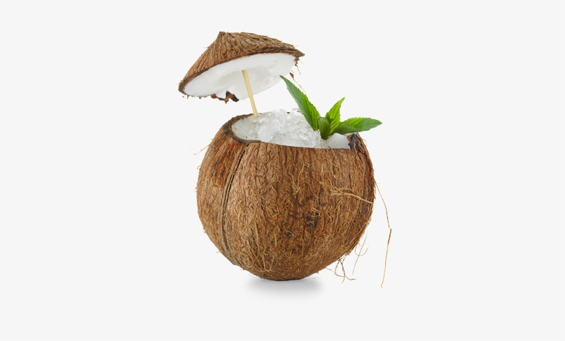 Coconut - Coconut Cocktail, transparent png