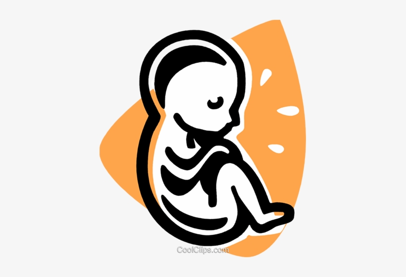 Fetus Royalty Free Vector Clip Art Illustration - Fetus Clipart, transparent png