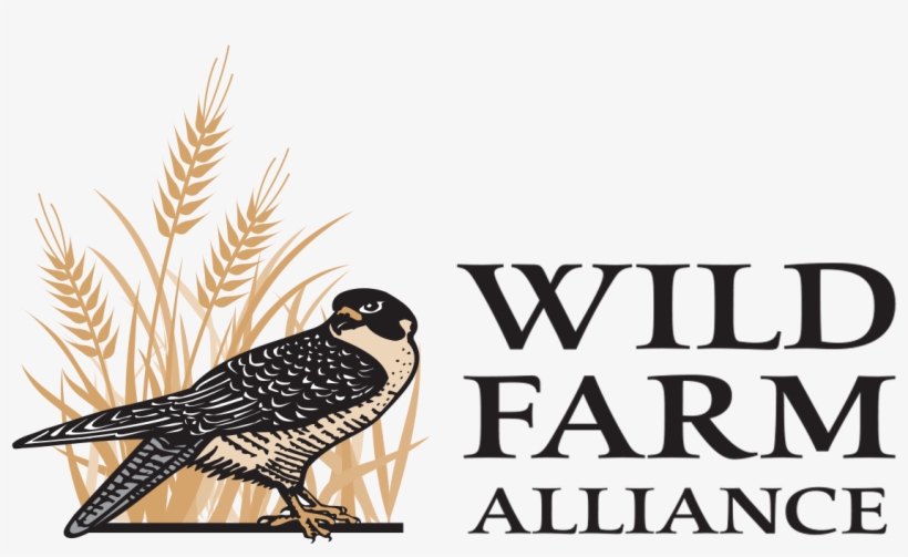 Wellesley College Library, transparent png