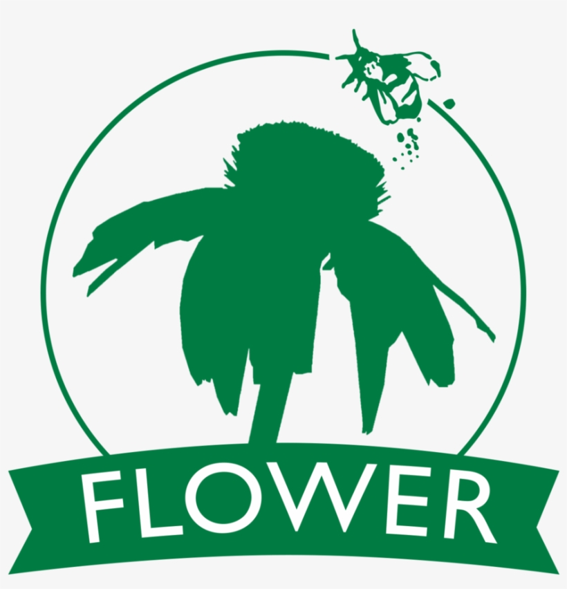Flower Green - Figuras Geometricas Para Armar Esfera, transparent png