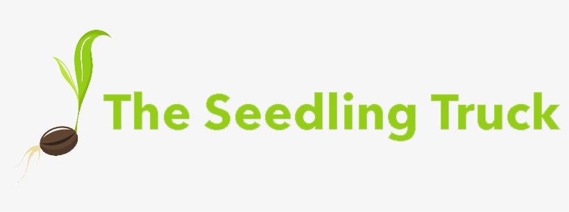 Amsterdam, transparent png