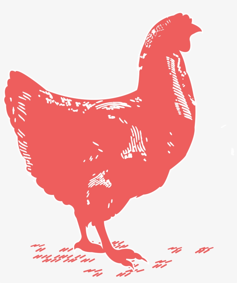 Chicken Breast - Rooster, transparent png