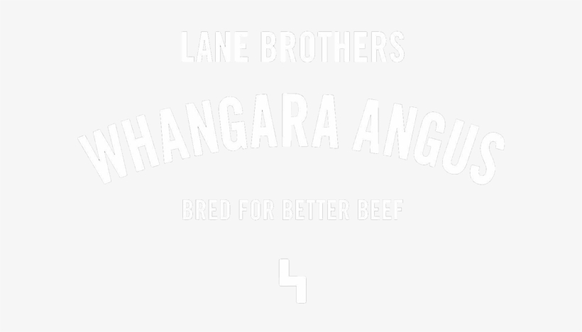 Channel Hoodie, transparent png
