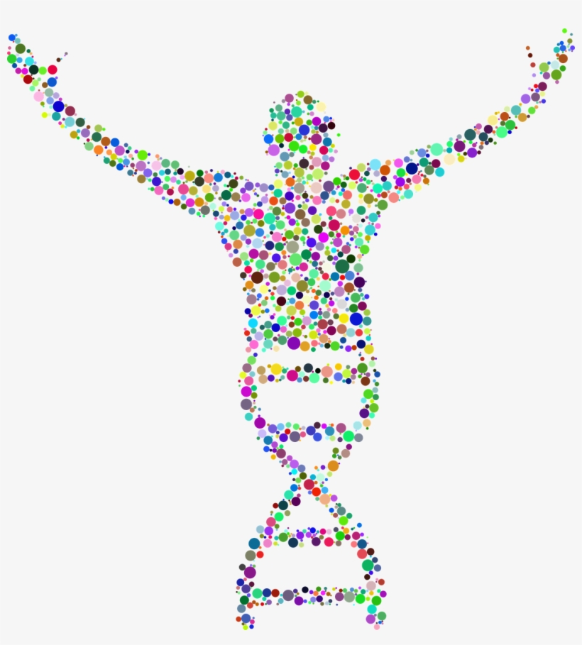 Sperm Dna Fragmentation Test - Biology Dna, transparent png
