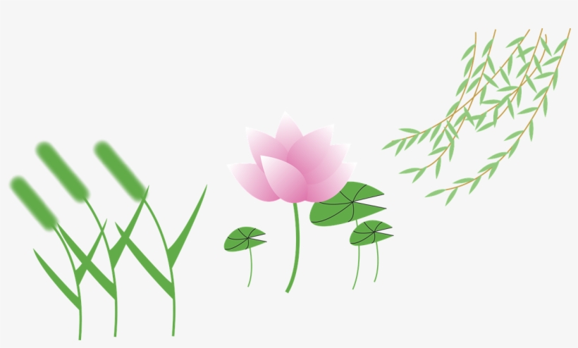 Setaria Vector Graphics,free Pictures, - Lotus Cartoon Png, transparent png