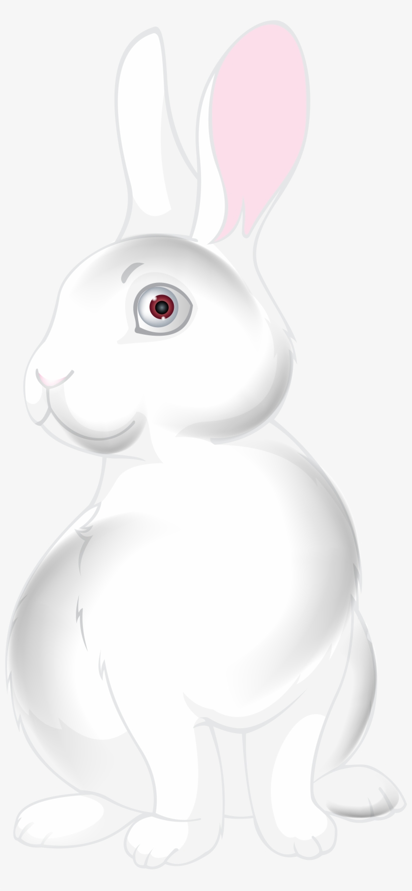 Hare, transparent png