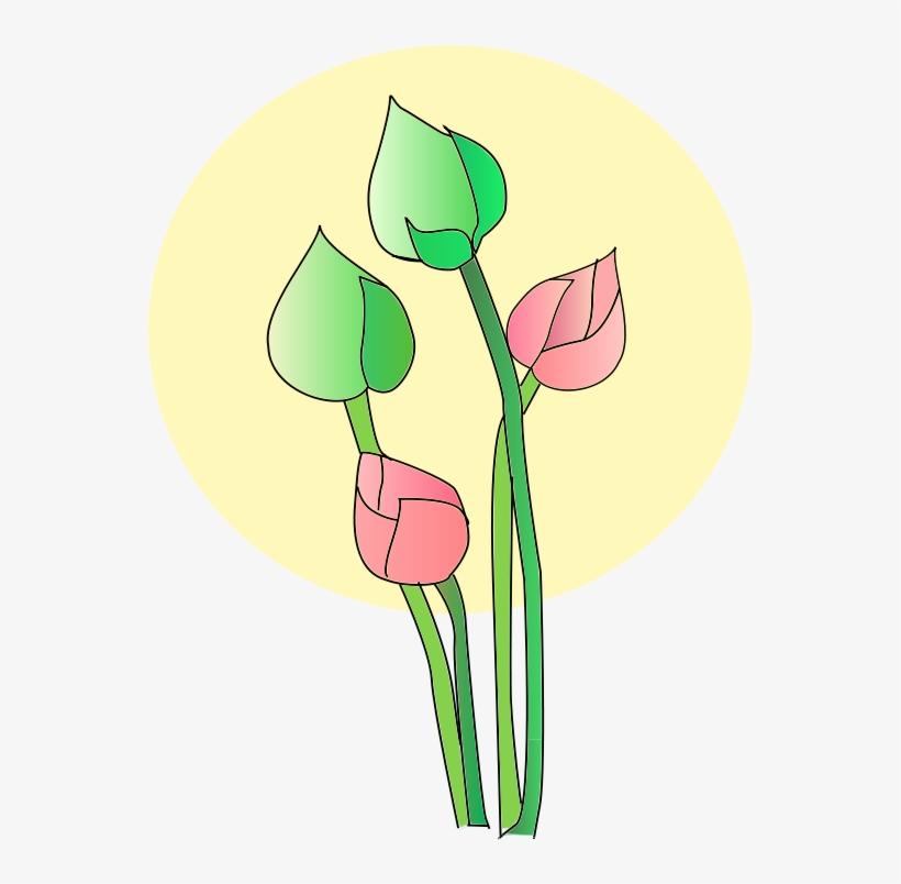 Free Vector Lotus - Vector Graphics, transparent png
