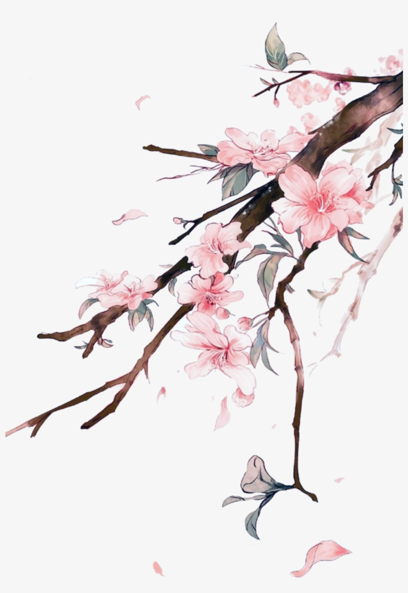 Este Gráficos Es Hand-painted Plum Transparent Decorative - Sfondi Iphone Disegni Fiori, transparent png