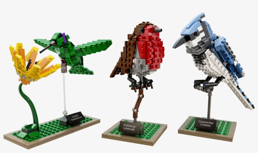 *love* This - Lego Birds, transparent png