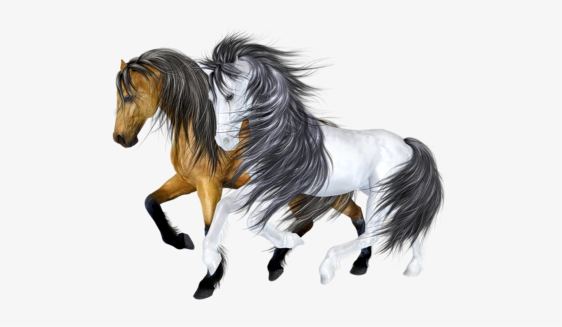 Horses, transparent png