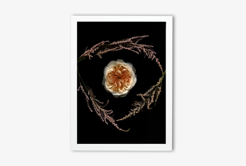 Torn Edge - Motif, transparent png