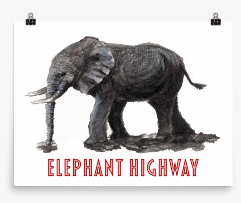 Elephant, transparent png
