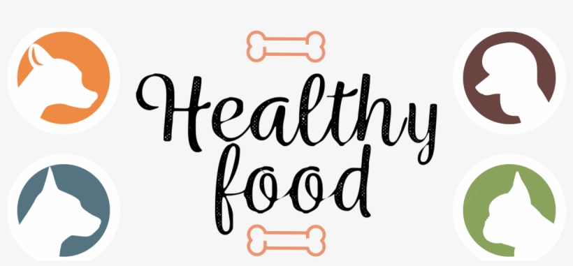 Dog Treat Guy Home Page Lower Banner No Boarder - Watercolor Food, transparent png