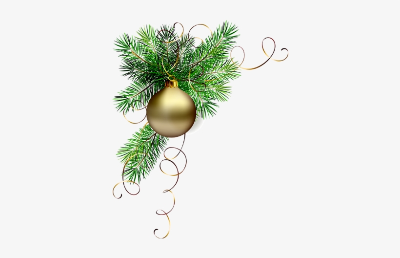 Explore These Ideas And Much More - Christmas Tree Branch Png, transparent png