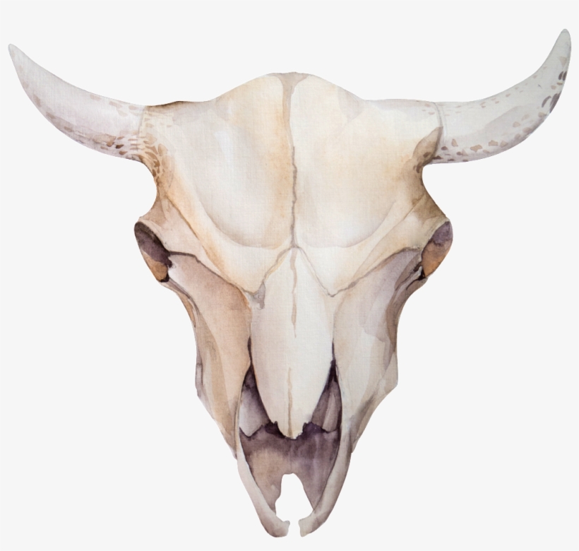 Bone Horns Transparent Decorative - Cow And Flowers, transparent png