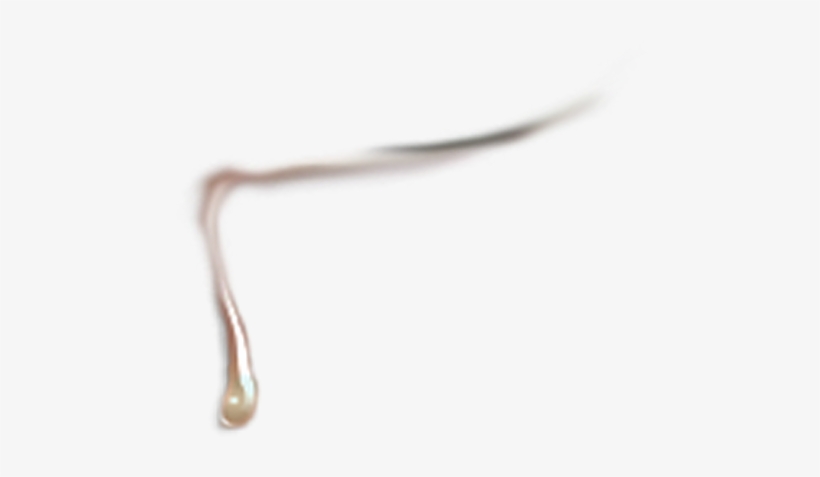 Lagrimas De Verdade Png, transparent png