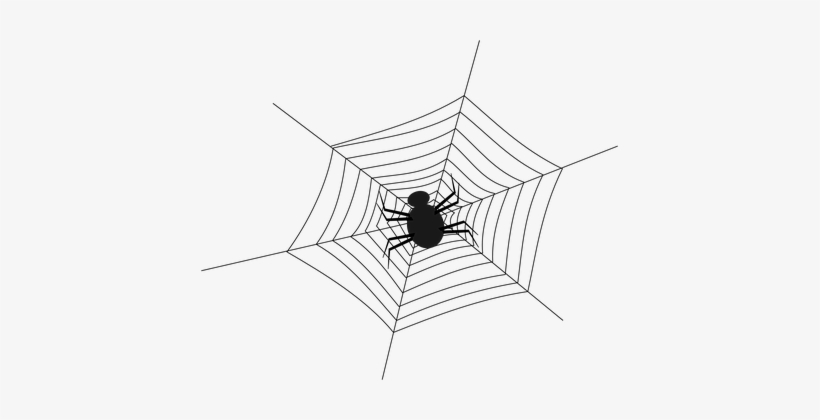Cobweb Spider Spiderweb Spider's Web Web N - Png Spider, transparent png