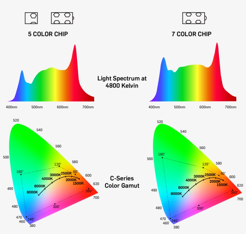 A Proprietary Algorithm Combines The Different Colors - Diagram ...