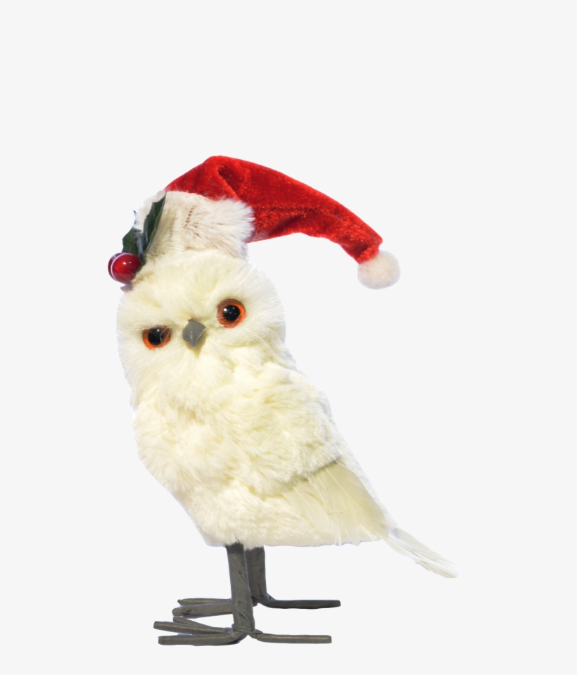 Búho De Pie Blanco Gorro De Navidad - Christmas Day, transparent png