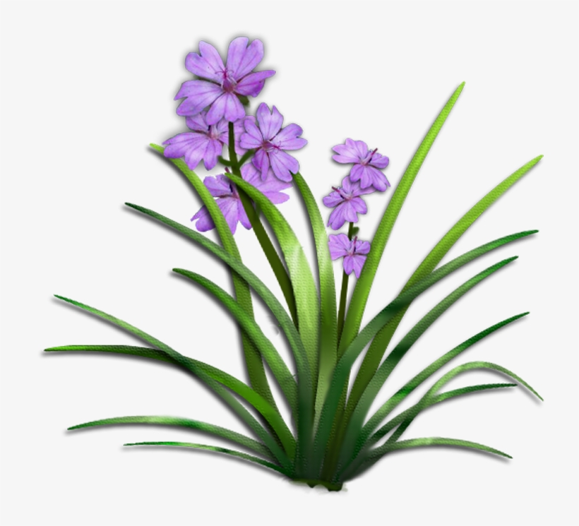 Browse Popular All Time - Plant With Flower Png, transparent png