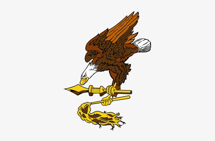 American Samoa Flag Eagle, transparent png