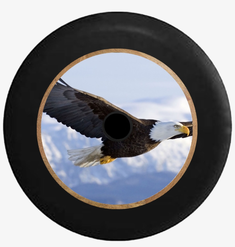 Jeep Wrangler Jl Backup Camera Soaring American Bald - Eagle Flying Painting, transparent png