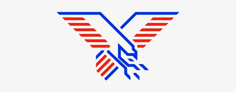 American Eagle - Bird Of Prey, transparent png