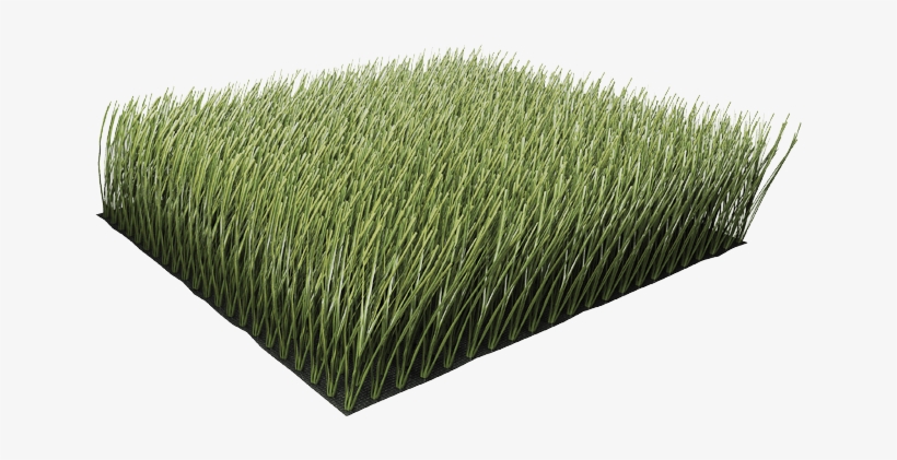 Grama - 2 Synthetic Grass Lawn Dark, transparent png