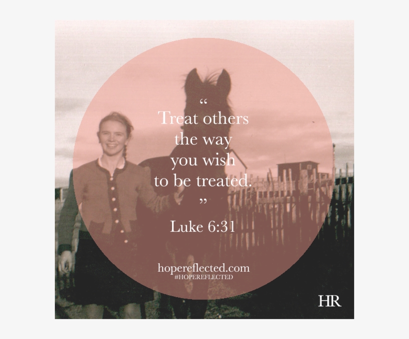 Mar9 3thingslearned Grama - Stallion, transparent png