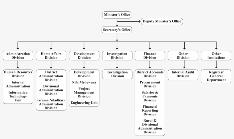 Organization, transparent png