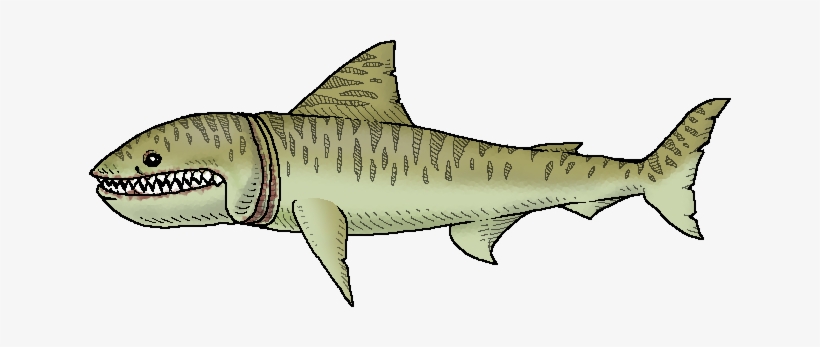 We Need To Go Deeper Shark, transparent png