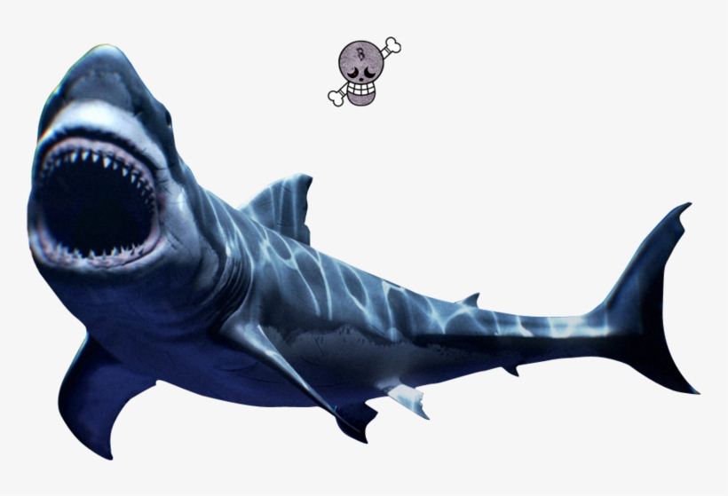 Scary Great White - Great White Shark, transparent png