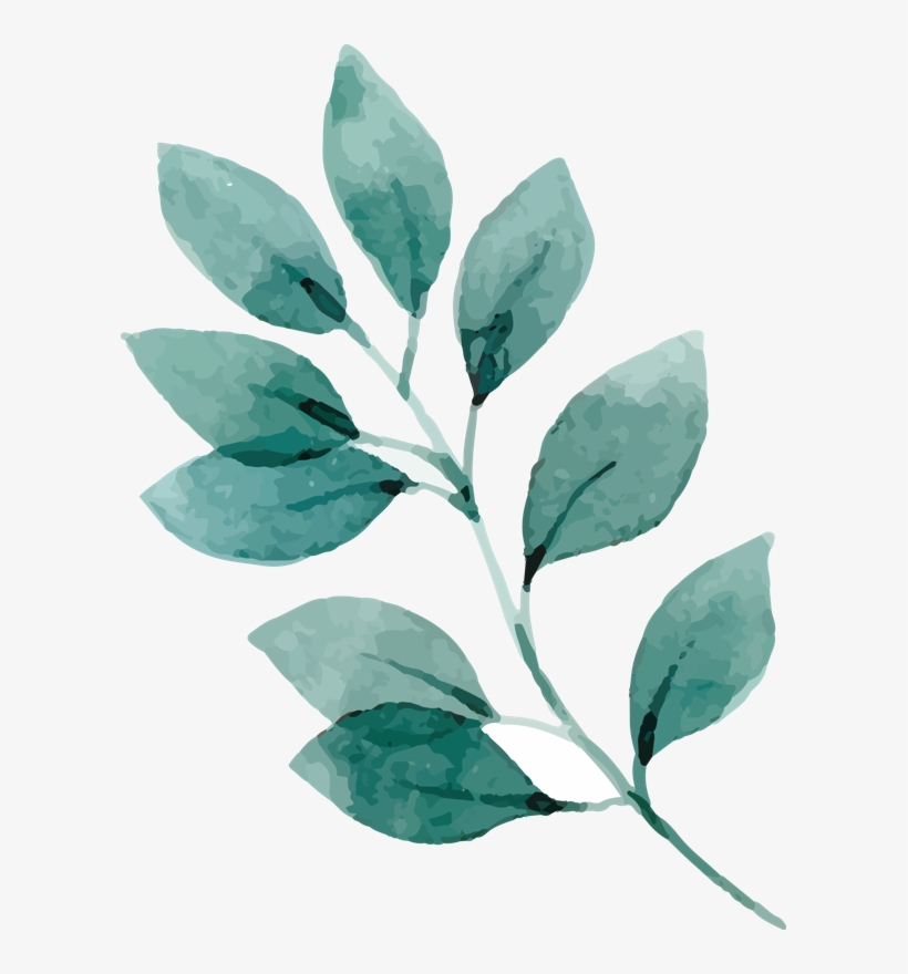 Flowerwd 13 - Watercolor Floral Elements, transparent png