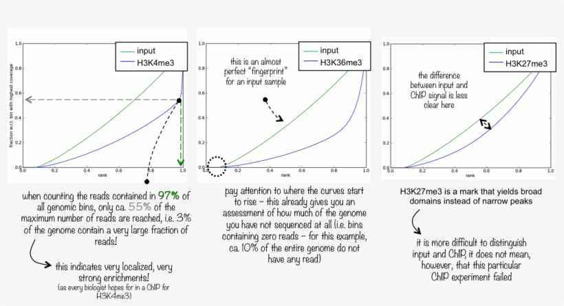 Images/qc Fingerprint - Plot Fingerprint Bam Chip Seq, transparent png