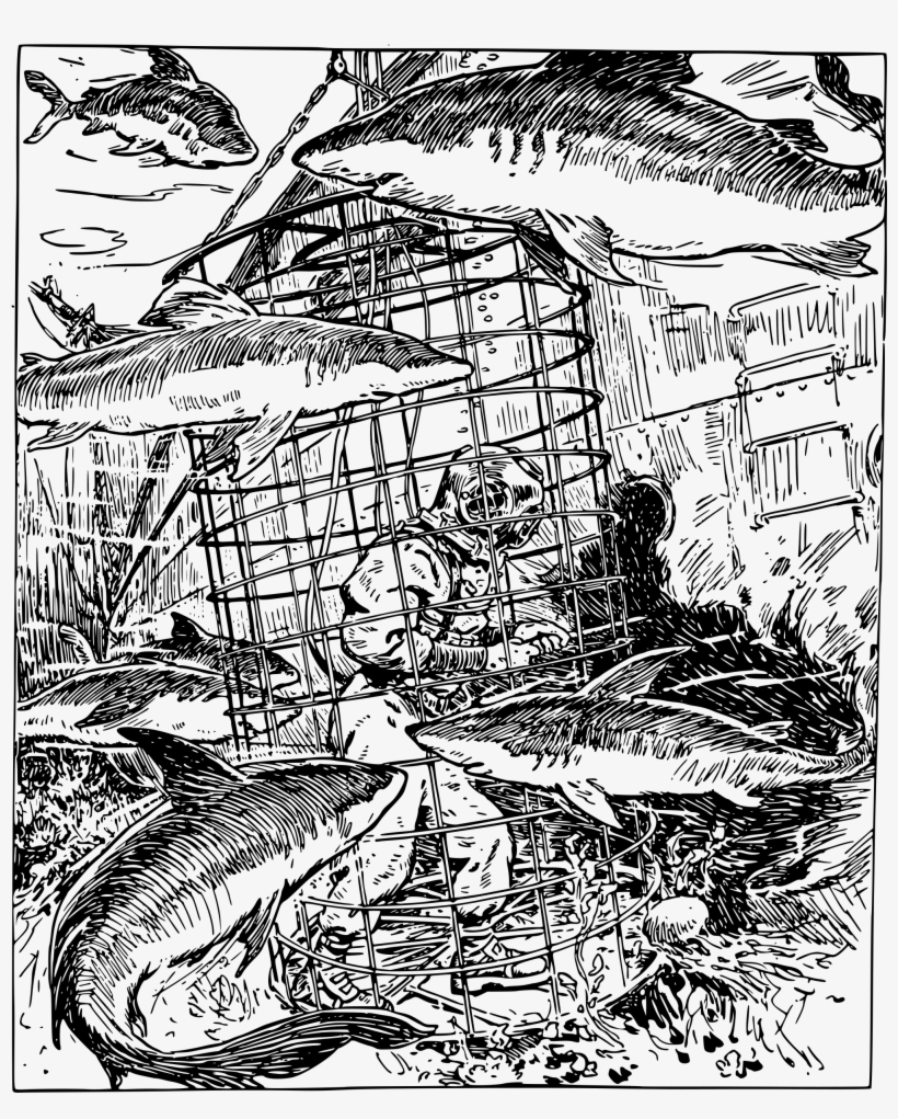 This Free Icons Png Design Of Diver And Sharks, transparent png