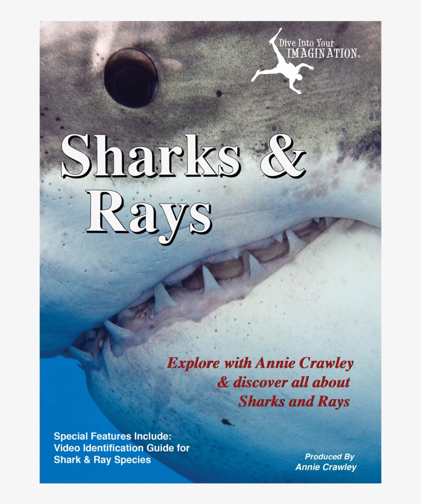Sharks & Rays Dvd - Film, transparent png